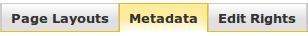 Metadata tab